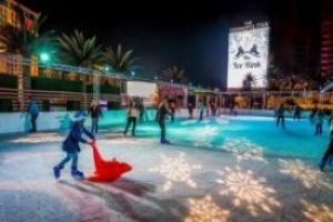 ice-rink ice-rink